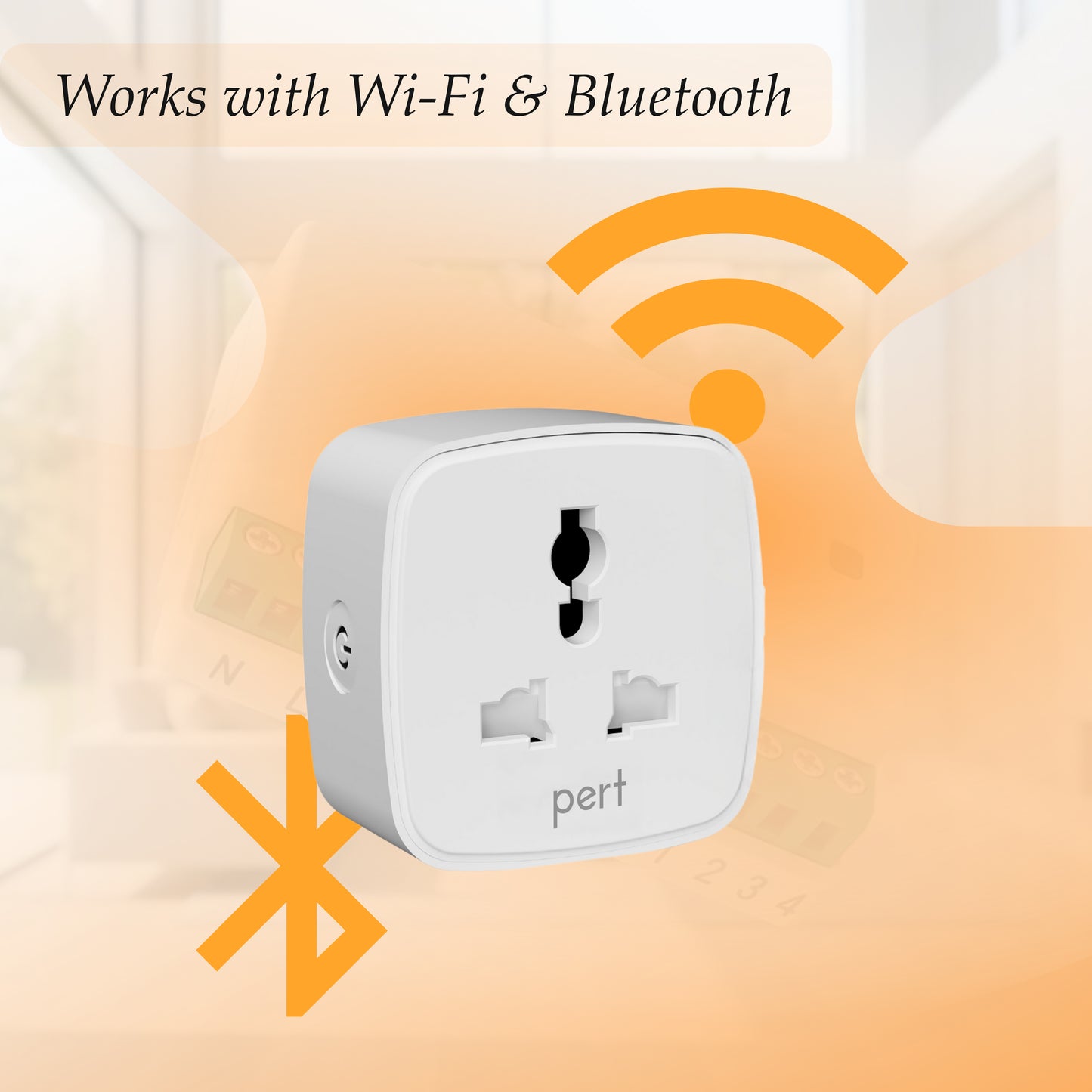 10amp Smart Plug