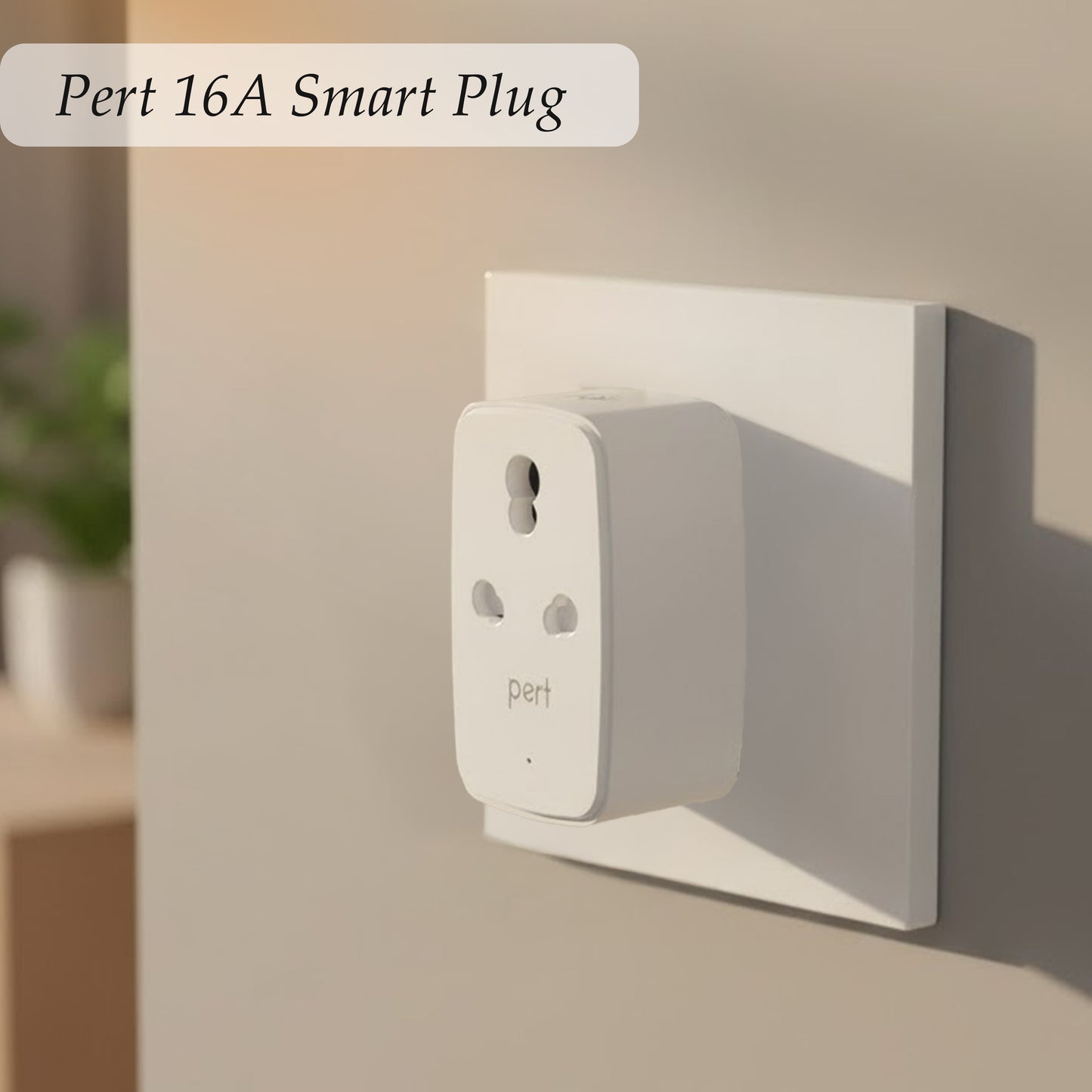 16amp Smart Plug