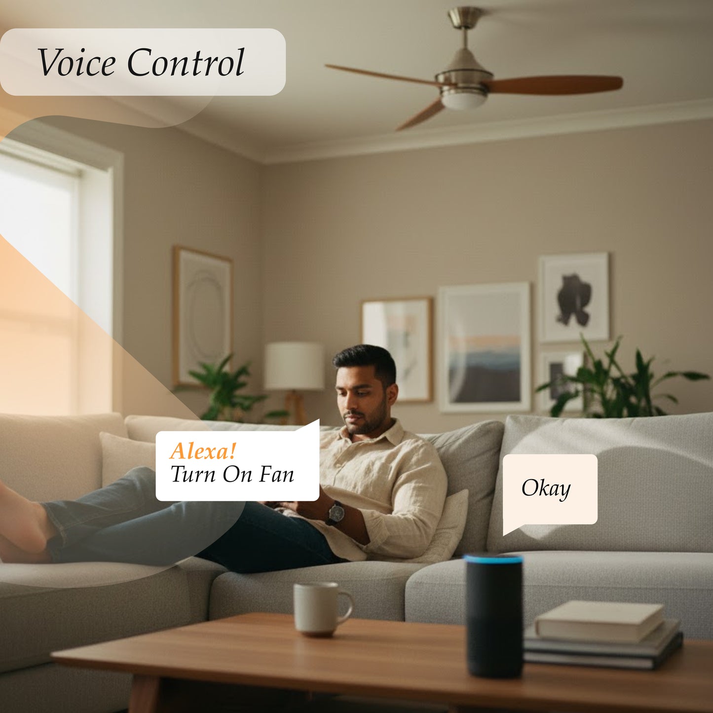 Fan Touch Switch