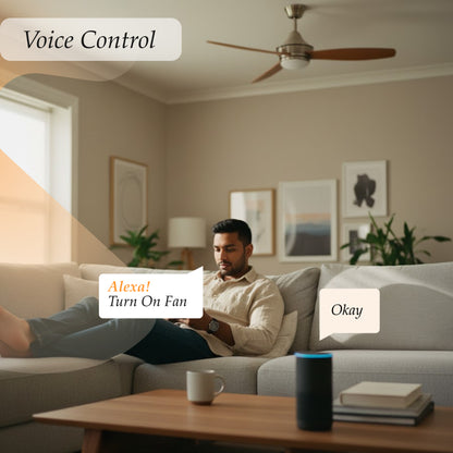 Fan Touch Switch